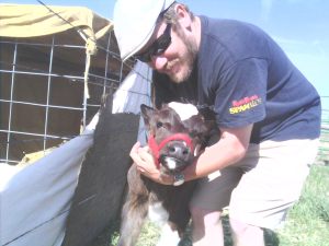 Doug holding one of the cows we were treating