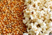 14975976-popcorn-and-kernels