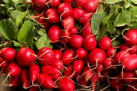radishes