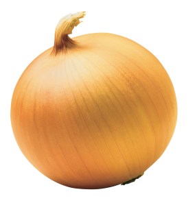 yellow_onion1