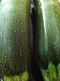 zucchini