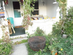 A line of small pumpkins and a cauldron greet visitors.