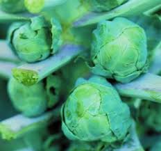 brussels sprouts