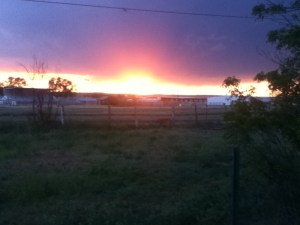 Looking out over the fairgrounds as we say goodnight to the farm animals.