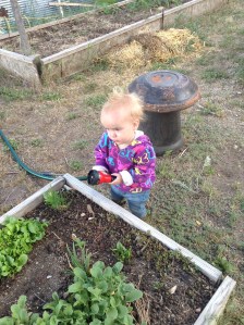The littlest farmgirl helping water.
