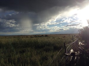 One view of the ten acres