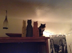 Zuzu watches over in her Halloween decoration guise.