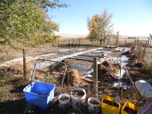 Potential, potential, potential...