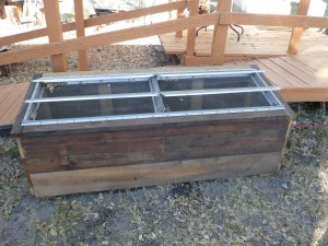 Our new cold frame, bartered for with a class.  Veggies in January?  I do hope so!