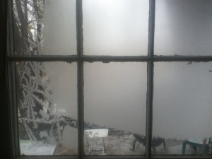 IMG_0471