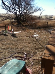 Another view outside the back door.  Lots of space for trees and food producing perennials.