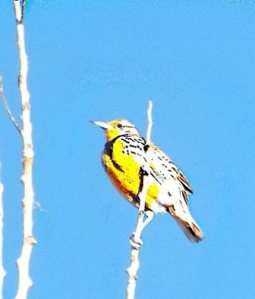 Photo by Emily Sanders