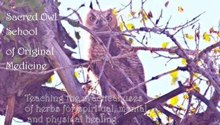 sacred-owl-cards-june-2015