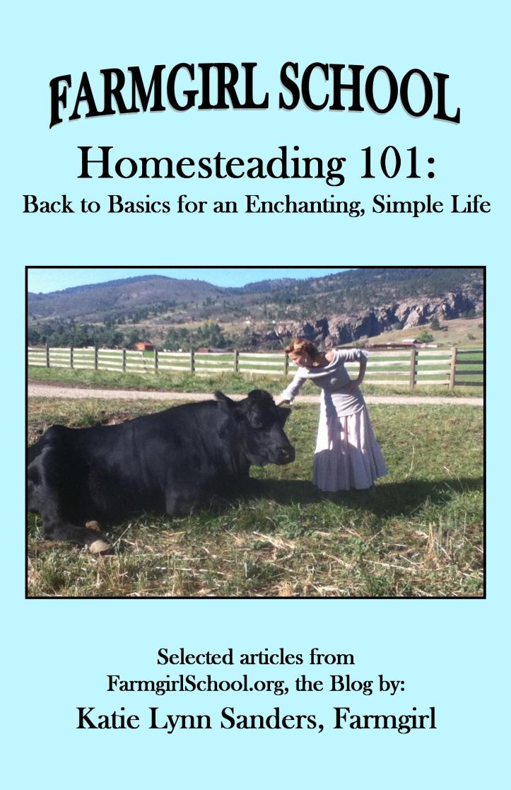 Homestead 101 Cover