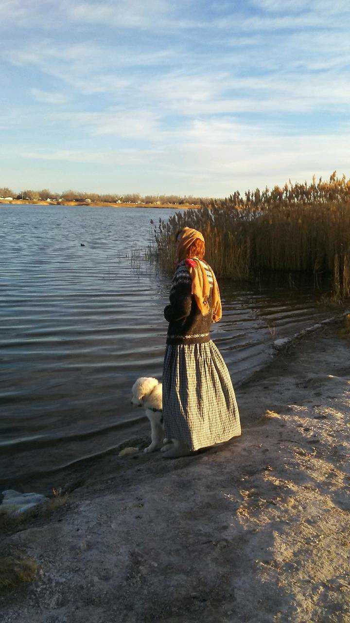 image_20171125_160157_1511665254637