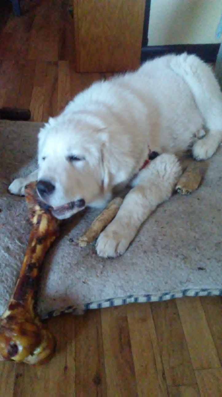 Message_1514674093077