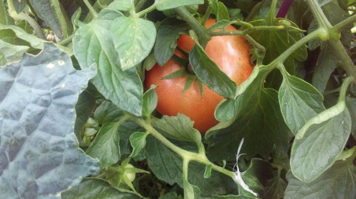 20171002_080434_Burst01