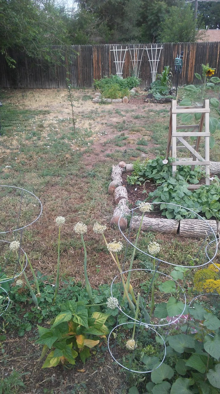 20180717_075300_Burst01