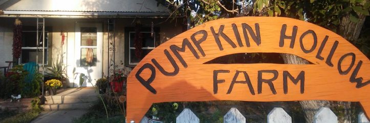 cropped-pumpkin-hollow.jpg
