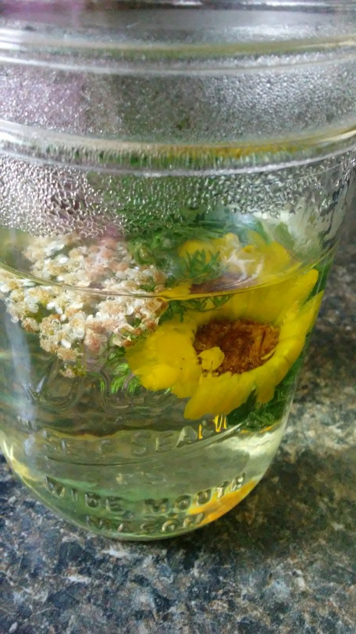 20180815_132853_resized