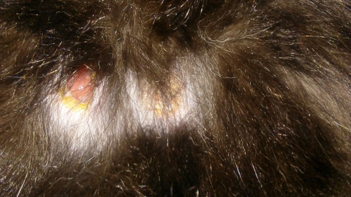 20180816_072526_resized