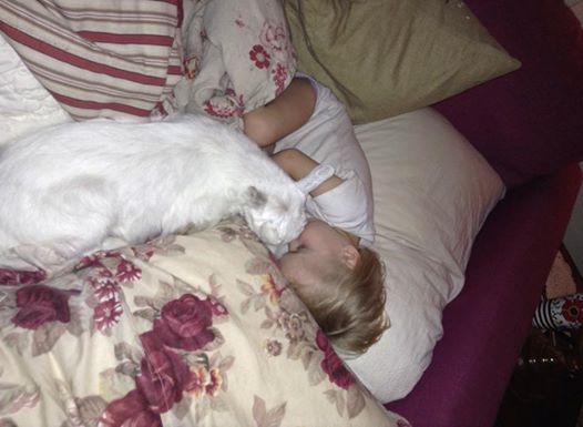 11159534_1109447059070756_1791988281148435805_n