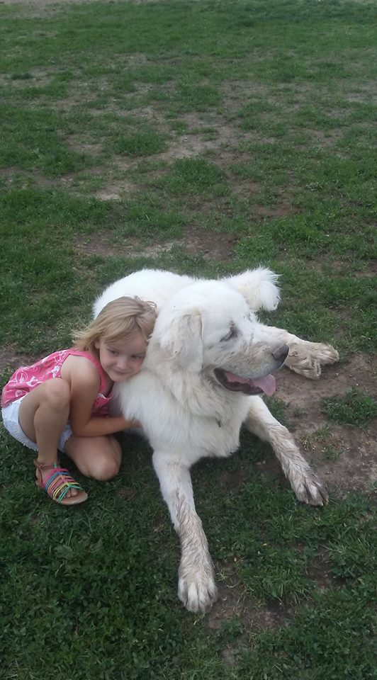 35305981_2220873001261484_8782922973146251264_n