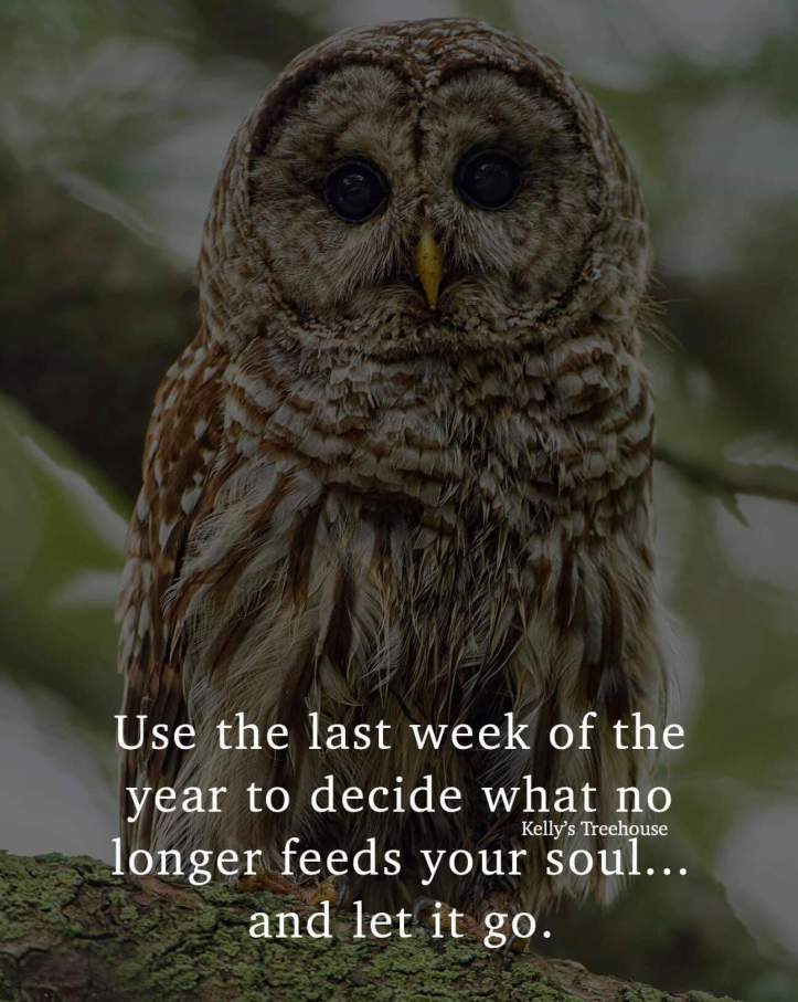 48386634_2272588966355948_4299765225441198080_o