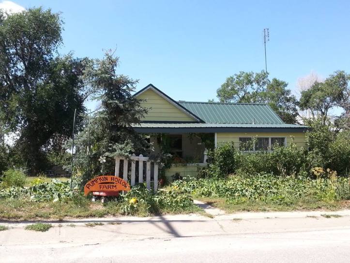 1002040_787090387984418_1270360703_n