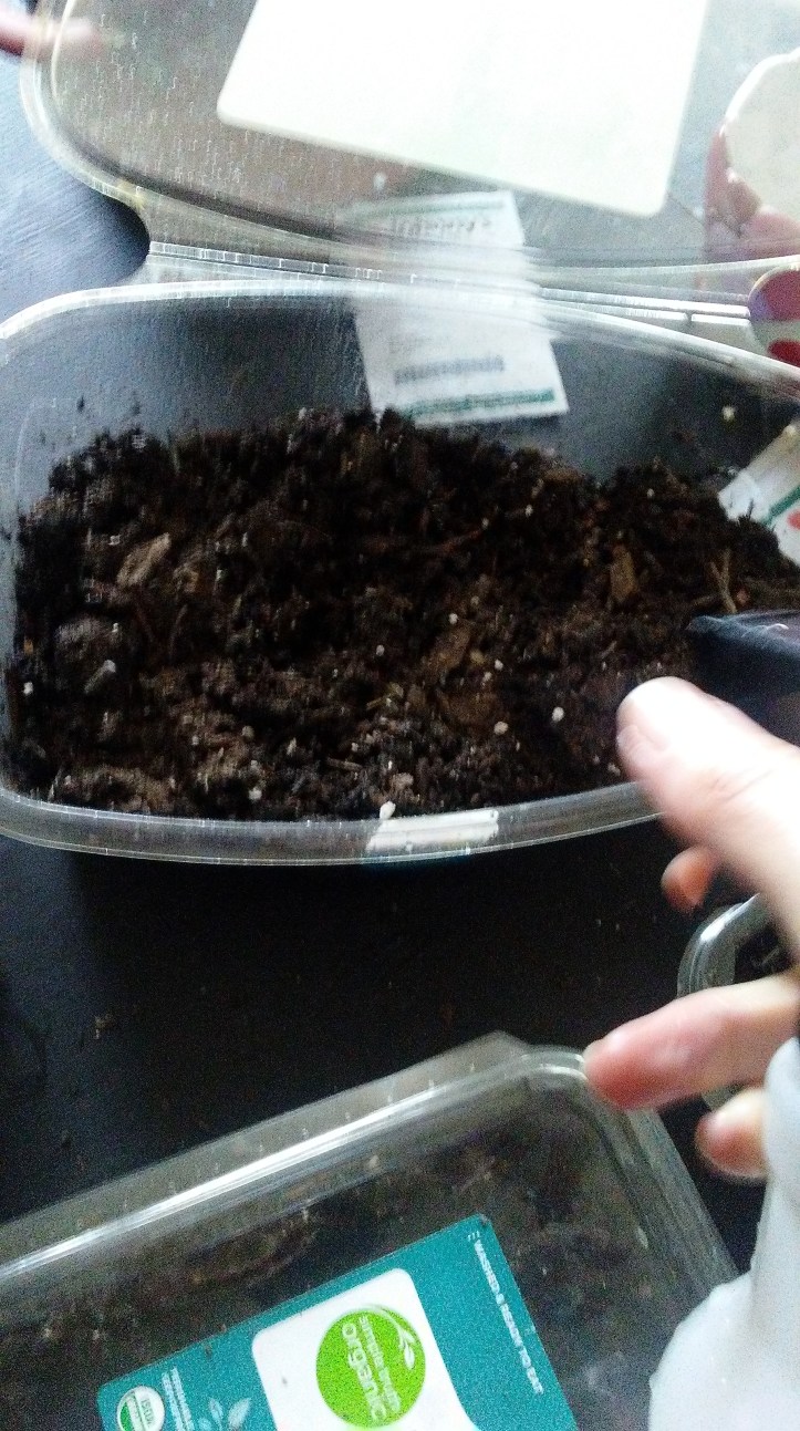 20190221_113737_Burst01