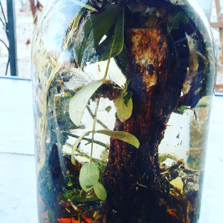 IMG_20190120_165356_152