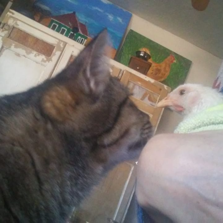 IMG_20190201_100021_651