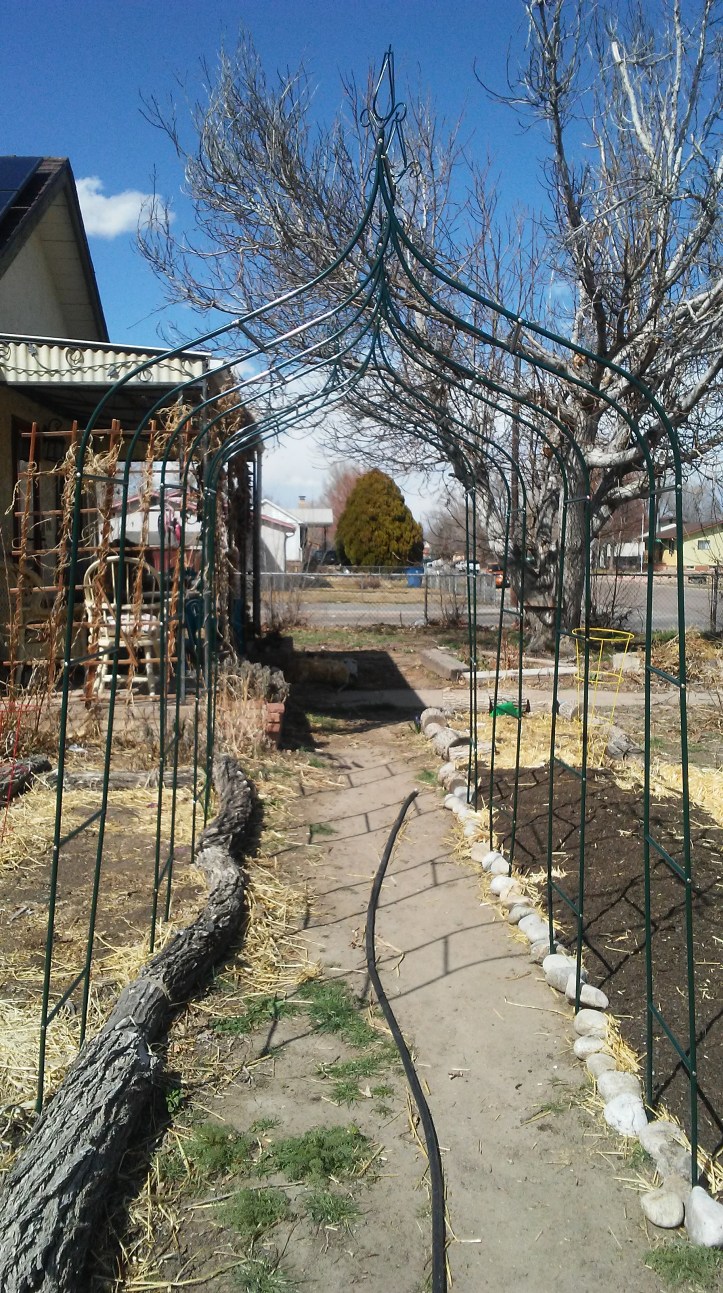 20190324_144823_Burst01