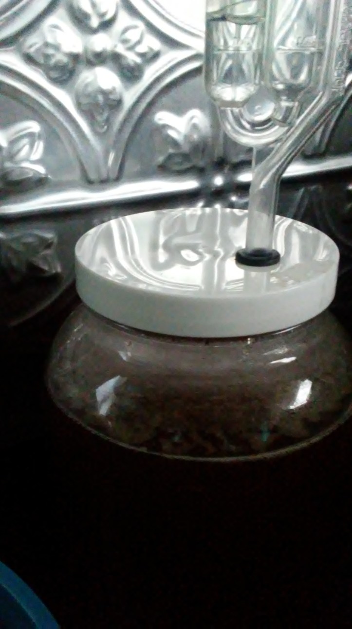 15559399271091362704678