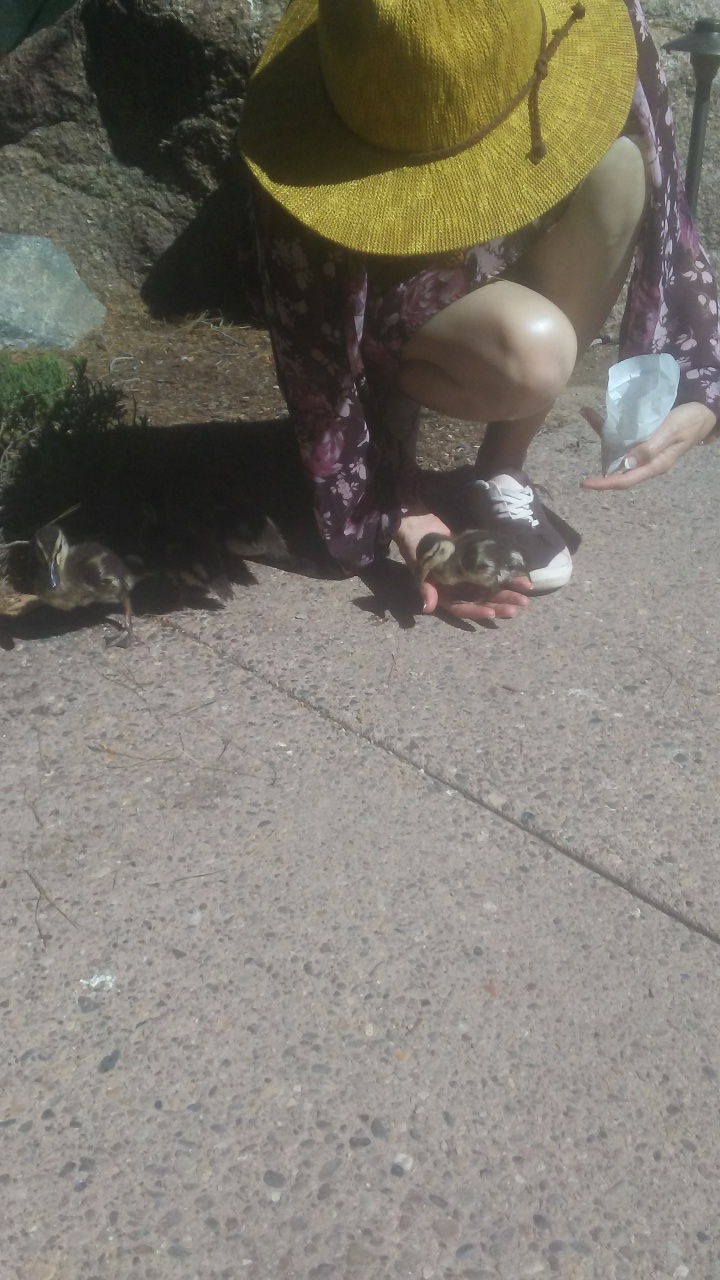 20190409_101239_resized