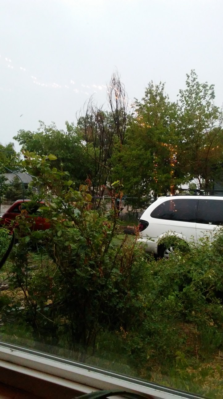 Message_1558399374848