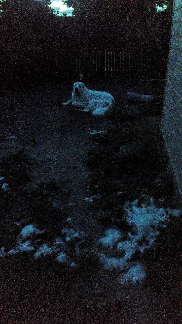 20190625_205123_Burst01